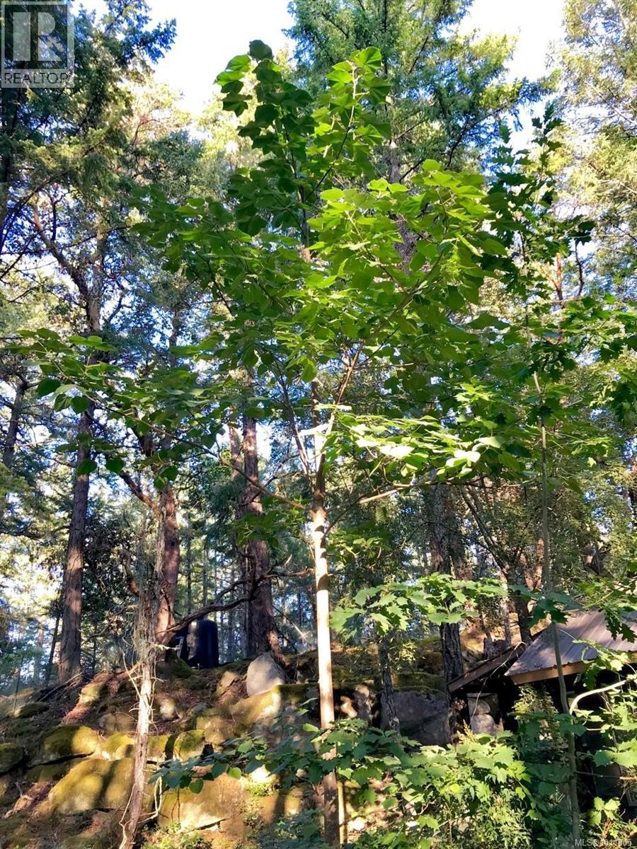  671 Cardale Road, Decourcy Island