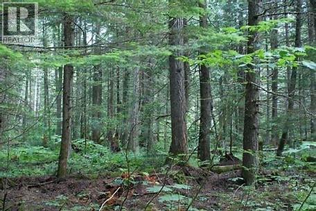 3499 LUOMA Road Lot# 189 - 42