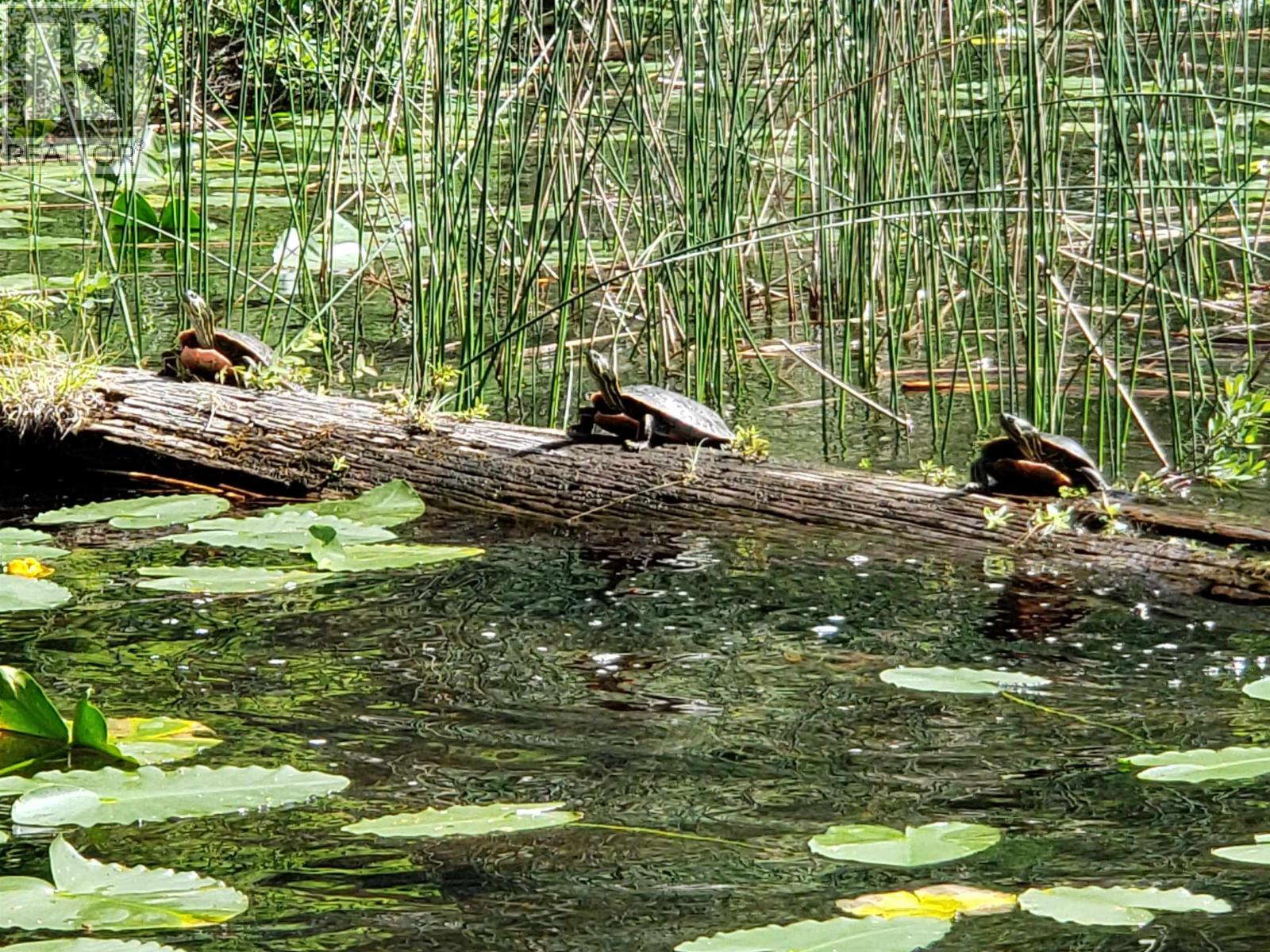 Lot 20 SAKINAW LAKE, Sechelt