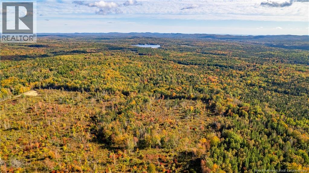 LOT Clatter Road - Photo 4 of 34, Rollingdam, New Brunswick