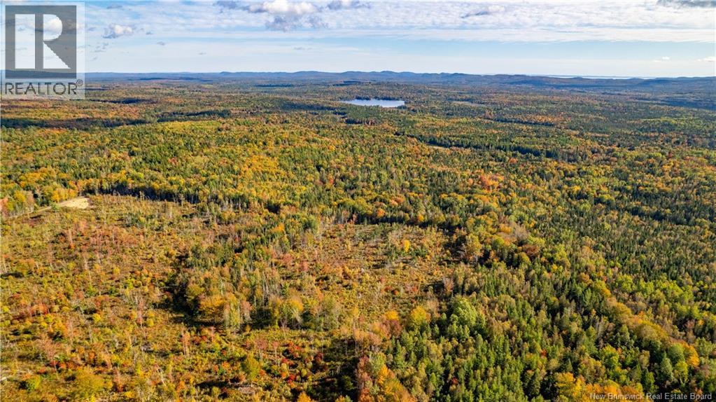 LOT Clatter Road - Photo 5 of 34, Rollingdam, New Brunswick