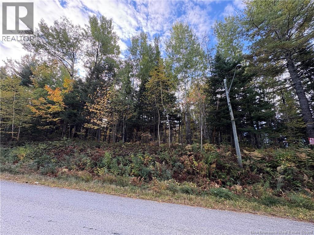 1.5 ACRES Boom Road — photo 2