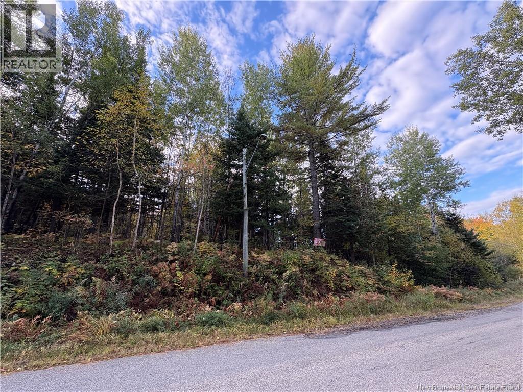 1.5 ACRES Boom Road — photo 3