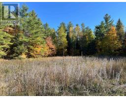 0 Minnie Road, Bonnechere Valley, ON K0J1T0 Photo 10