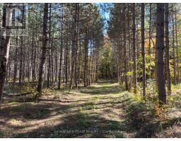 0 Minnie Road, Bonnechere Valley, ON K0J1T0 Photo 11