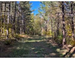 0 Minnie Road, Bonnechere Valley, ON K0J1T0 Photo 12