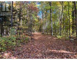 0 Minnie Road, Bonnechere Valley, ON K0J1T0 Photo 13