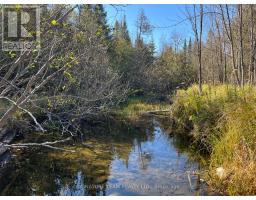 0 Minnie Road, Bonnechere Valley, ON K0J1T0 Photo 14