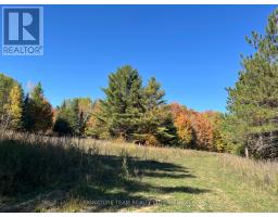 0 Minnie Road, Bonnechere Valley, ON K0J1T0 Photo 15