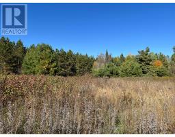 0 Minnie Road, Bonnechere Valley, ON K0J1T0 Photo 17