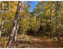 0 Minnie Road, Bonnechere Valley, ON K0J1T0 Photo 18