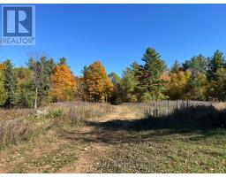 0 Minnie Road, Bonnechere Valley, ON K0J1T0 Photo 20