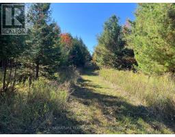 0 Minnie Road, Bonnechere Valley, ON K0J1T0 Photo 24