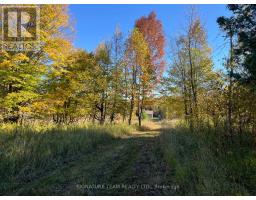 0 Minnie Road, Bonnechere Valley, ON K0J1T0 Photo 25