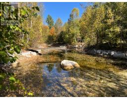 0 Minnie Road, Bonnechere Valley, ON K0J1T0 Photo 26