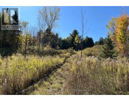 0 Minnie Road, Bonnechere Valley, ON K0J1T0 Photo 28