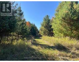 0 Minnie Road, Bonnechere Valley, ON K0J1T0 Photo 33