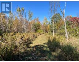 0 Minnie Road, Bonnechere Valley, ON K0J1T0 Photo 34