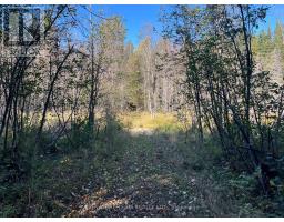 0 Minnie Road, Bonnechere Valley, ON K0J1T0 Photo 36