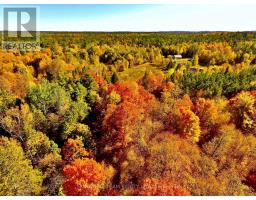 0 Minnie Road, Bonnechere Valley, ON K0J1T0 Photo 38