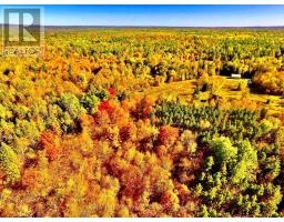 0 Minnie Road, Bonnechere Valley, ON K0J1T0 Photo 39