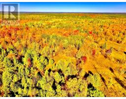 0 Minnie Road, Bonnechere Valley, ON K0J1T0 Photo 41
