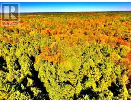 0 Minnie Road, Bonnechere Valley, ON K0J1T0 Photo 43