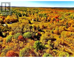 0 Minnie Road, Bonnechere Valley, ON K0J1T0 Photo 44
