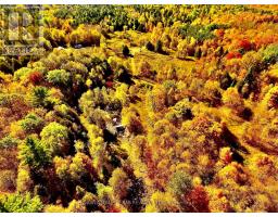 0 Minnie Road, Bonnechere Valley, ON K0J1T0 Photo 45
