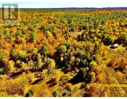 0 Minnie Road, Bonnechere Valley, ON K0J1T0 Photo 46