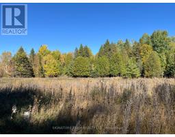 0 Minnie Road, Bonnechere Valley, ON K0J1T0 Photo 6