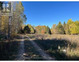 0 Minnie Road, Bonnechere Valley, ON K0J1T0 Photo 7