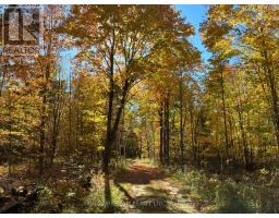 0 Minnie Road, Bonnechere Valley, ON K0J1T0 Photo 9