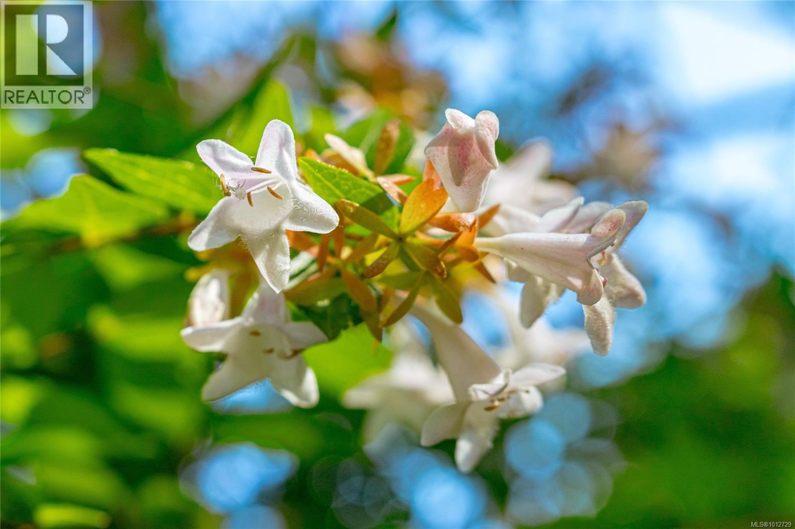 3626 Christina Dr, Cobble Hill