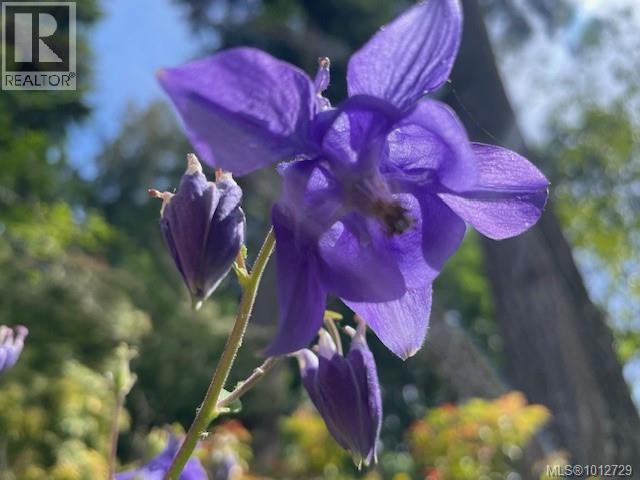 3626 Christina Dr, Cobble Hill