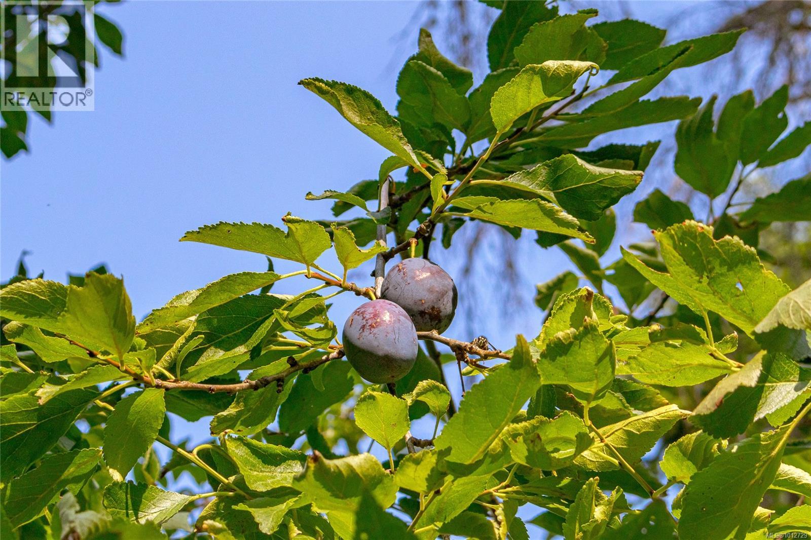 3626 Christina Dr, Cobble Hill