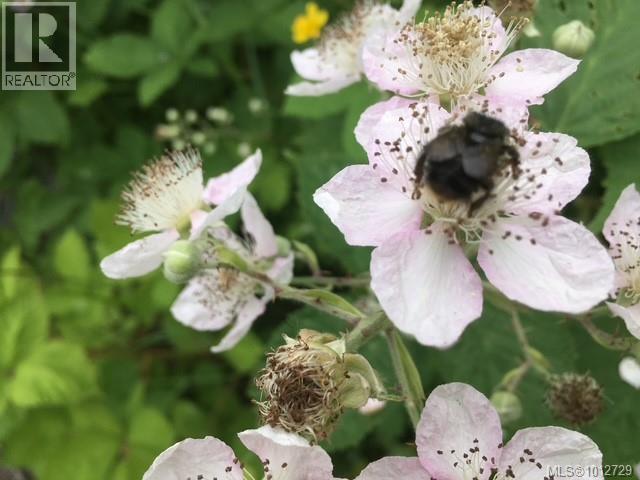 3626 Christina Dr, Cobble Hill