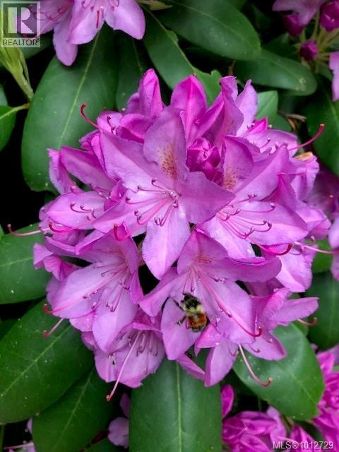 3626 Christina Dr, Cobble Hill