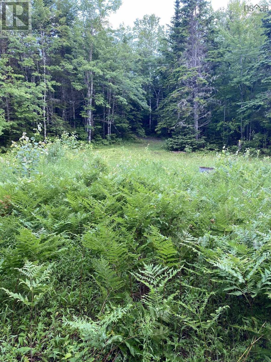 Property 6 of 6 of Lot 9 Pigott Lake Road