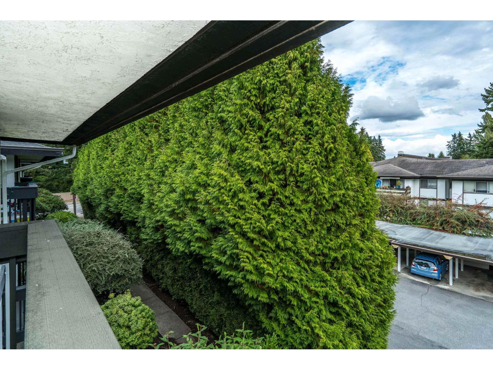309 1561 VIDAL STREET, White Rock