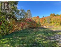 292 Bonnechere Street W, Bonnechere Valley, ON K0J1T0 Photo 46