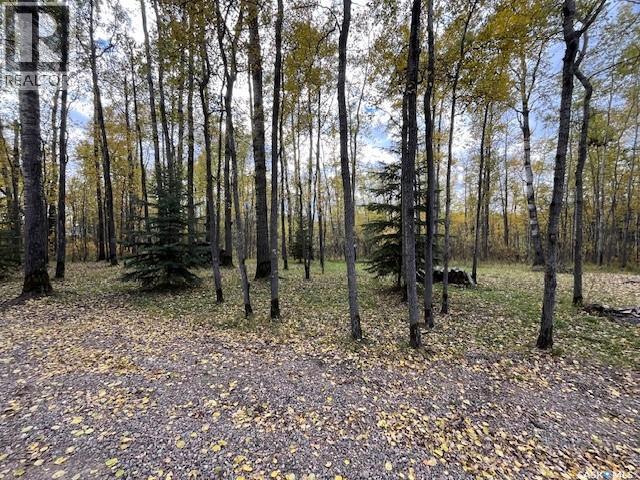 Lot 2, Blk 1, Grid Rd 3223, Lac Des Illes - 17