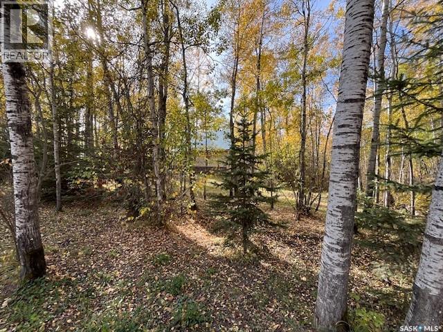 Lot 2, Blk 1, Grid Rd 3223, Lac Des Illes - 18