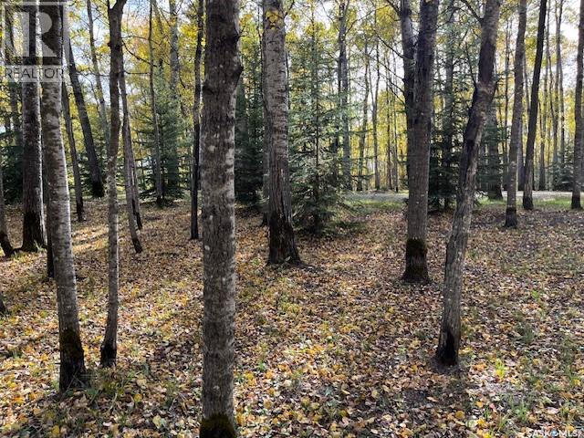 Lot 2, Blk 1, Grid Rd 3223, Lac Des Illes - 20