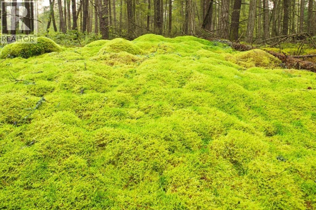 1765 CAPE DRIVE, Bowen Island