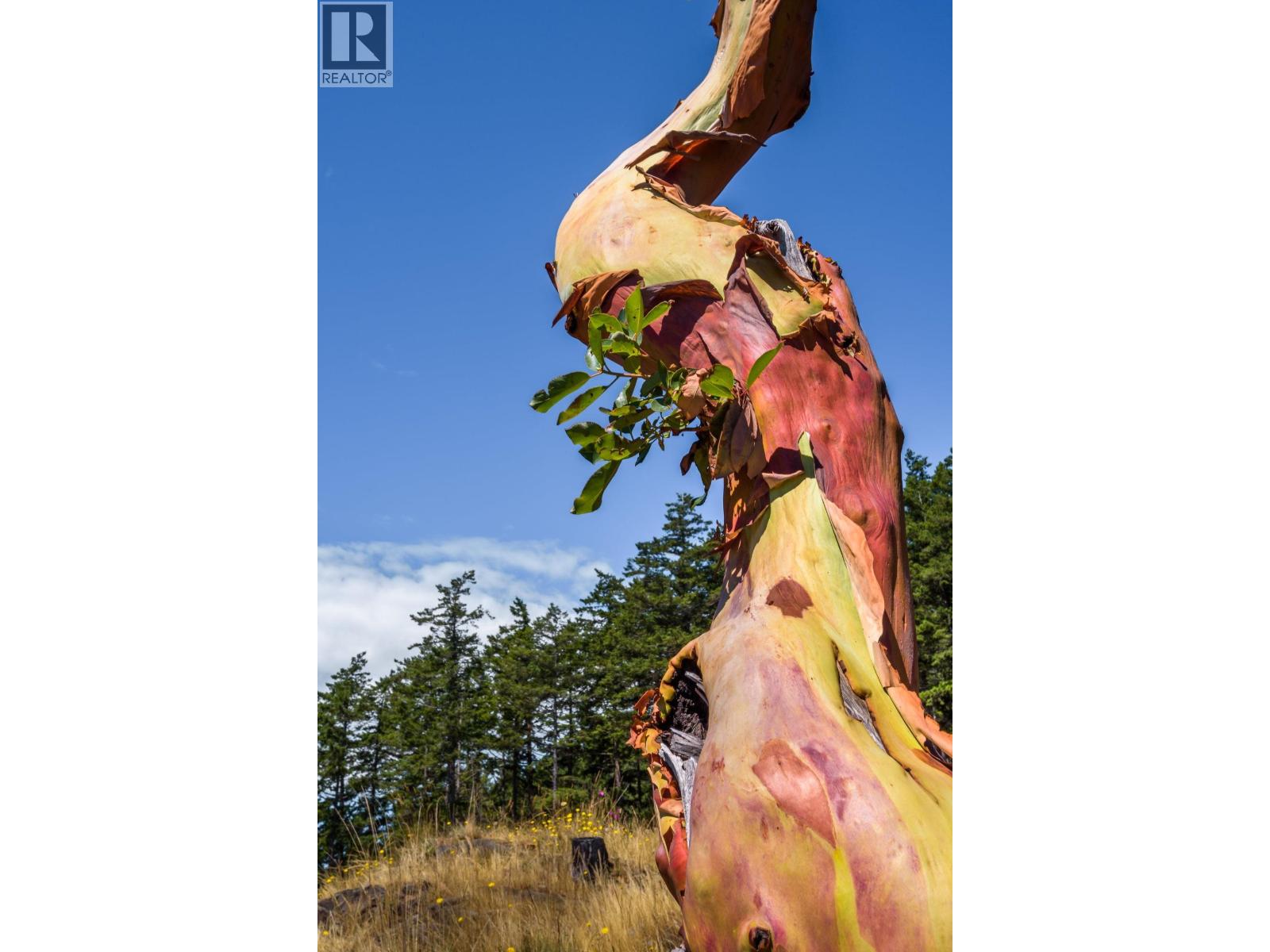 1765 CAPE DRIVE, Bowen Island