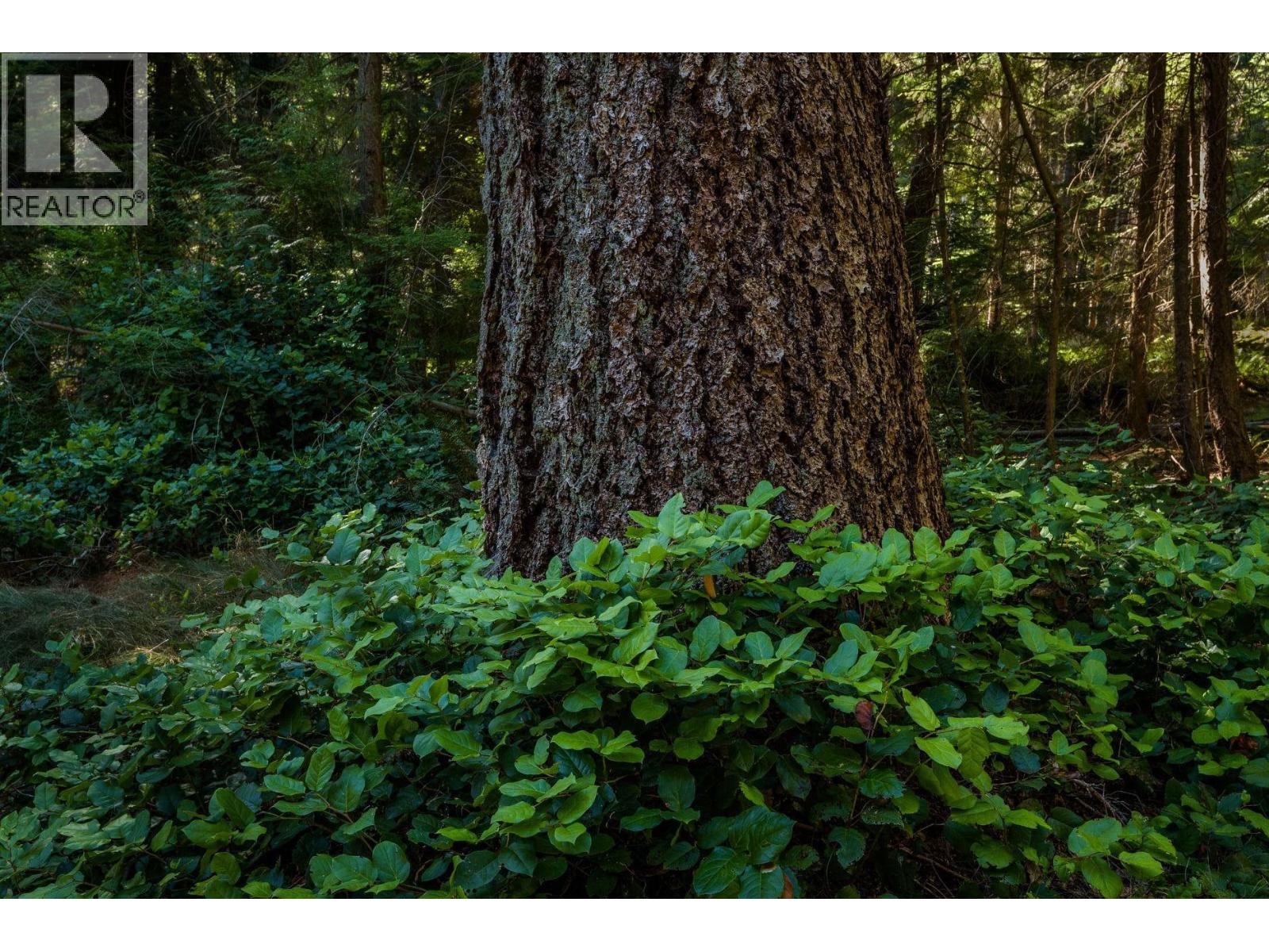 1765 CAPE DRIVE, Bowen Island