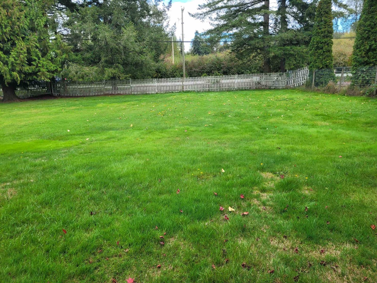 3561 240 STREET, Langley