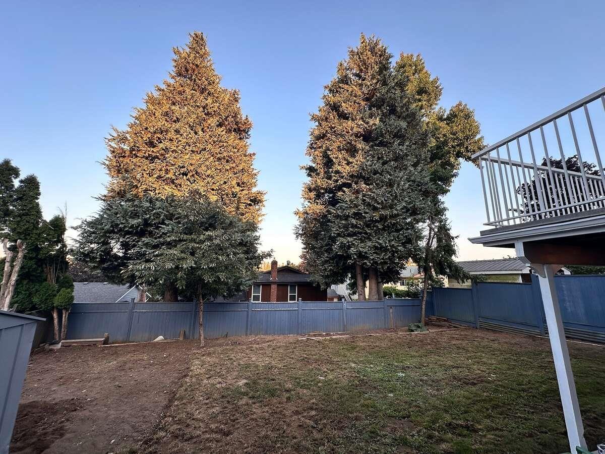 3782 LINDSAY STREET, Abbotsford