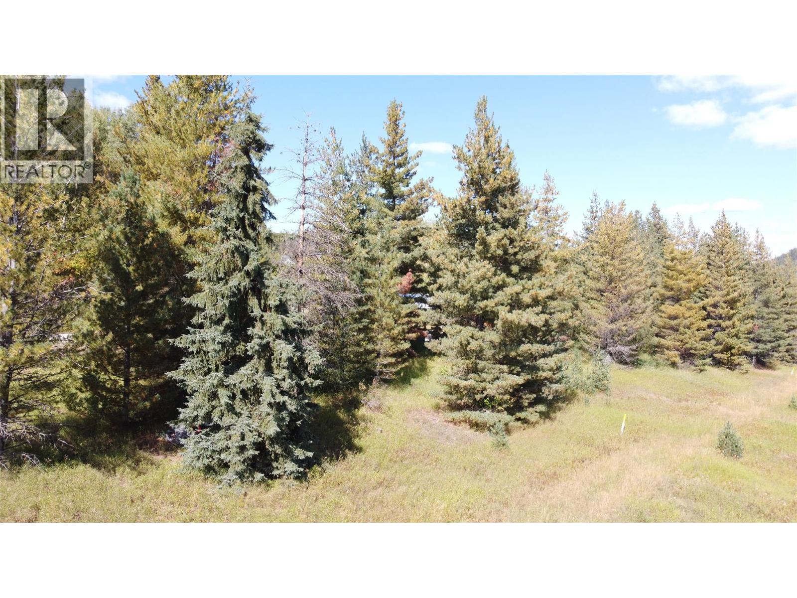 270 RICHIE Road, Rossland